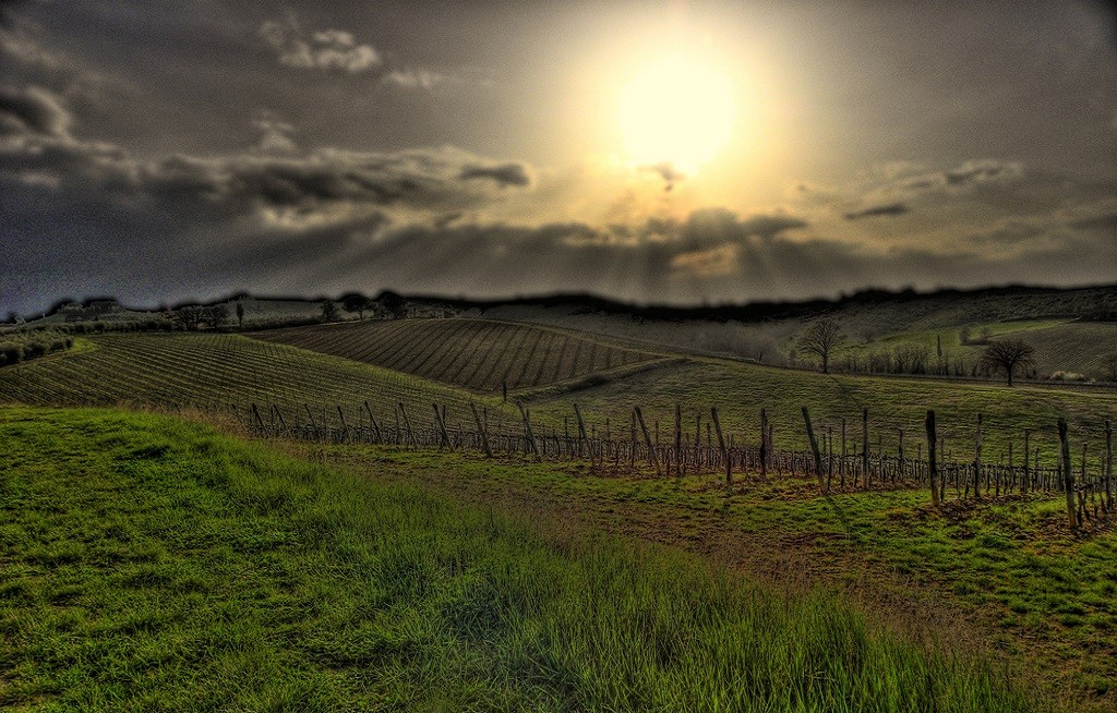 chianti territorio