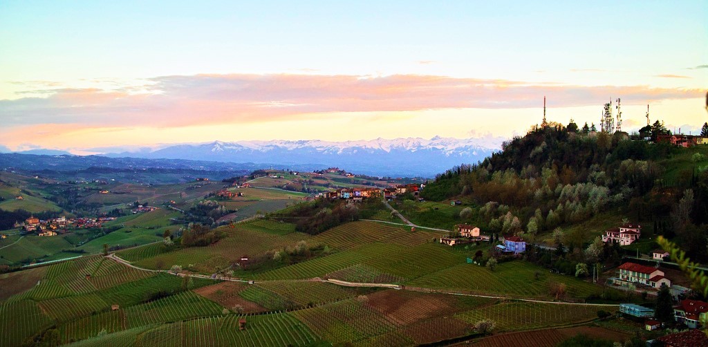 Nebbiolo - La Morra