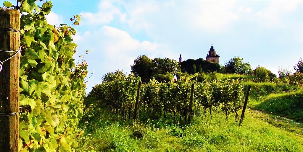 enoturismo e vino - unesco - franciacorta