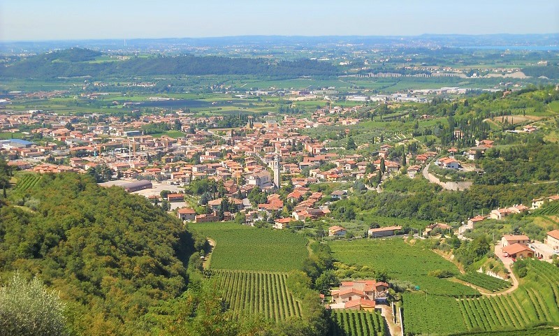 anteprima-amarone-valpolicella