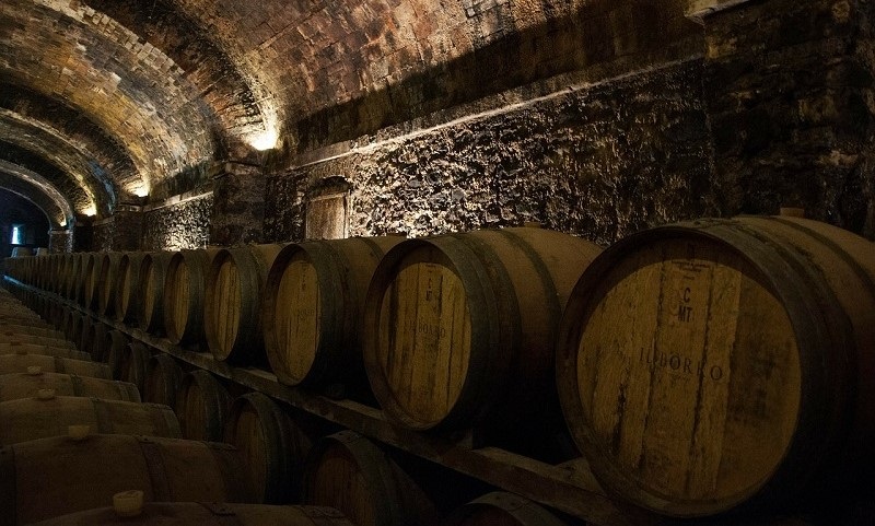 Anteprima Amarone foto botti generica