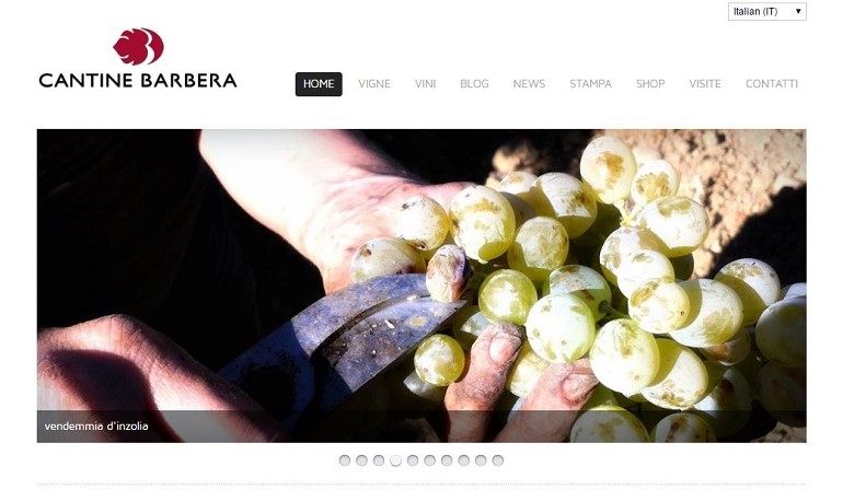 top-wine-influencer-marilena-barbera