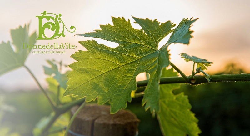 Vinitaly in Rosa donne della vite