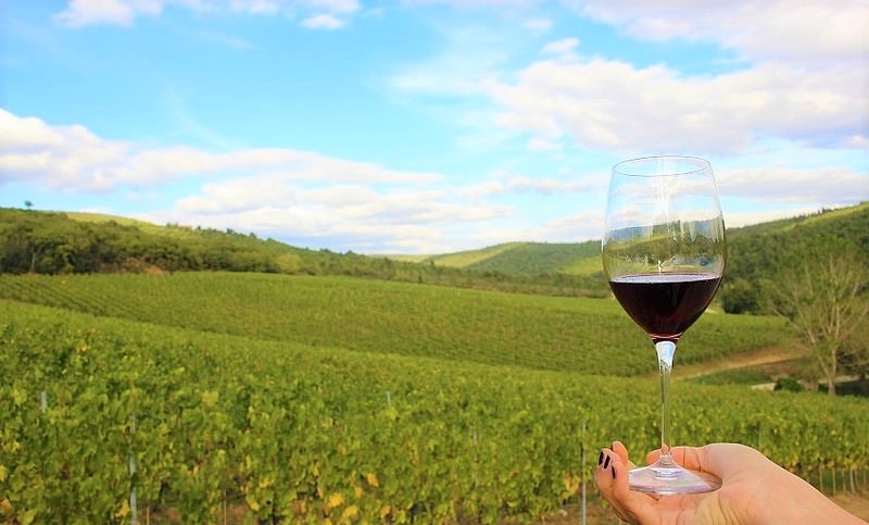 Terre di Toscana panorama vino