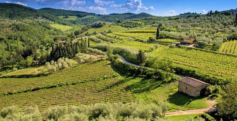 enoturismo-in-italia-colline-toscane