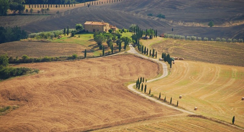 wine festival-valdorcia