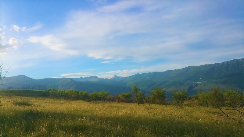 Vino Naturale paesaggio