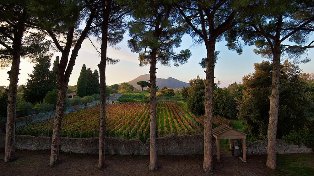 Vacanze per winelovers Radici Resort