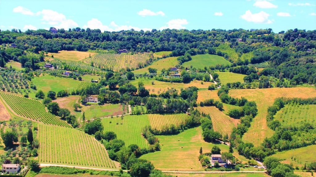 Simposio dell'enoturismo vigne