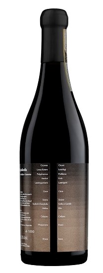 Wine Mythology Label Domìni Veneti