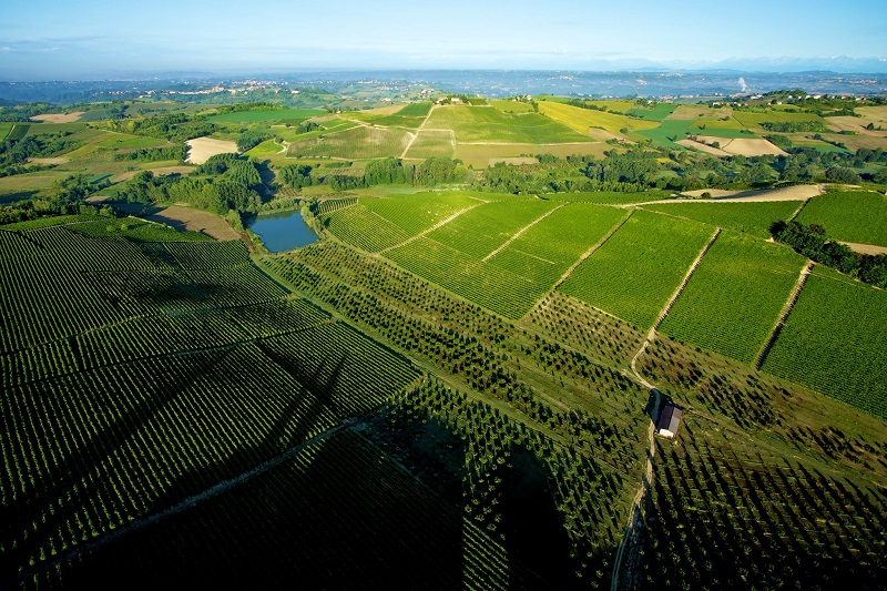 Ruché di Castagnole Monferrato montalbera