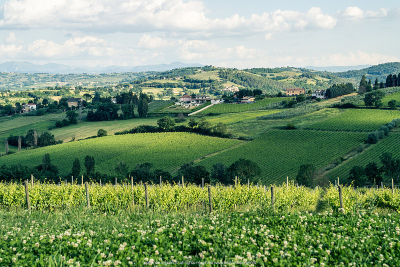 Calici di Stelle 2017 montefalco