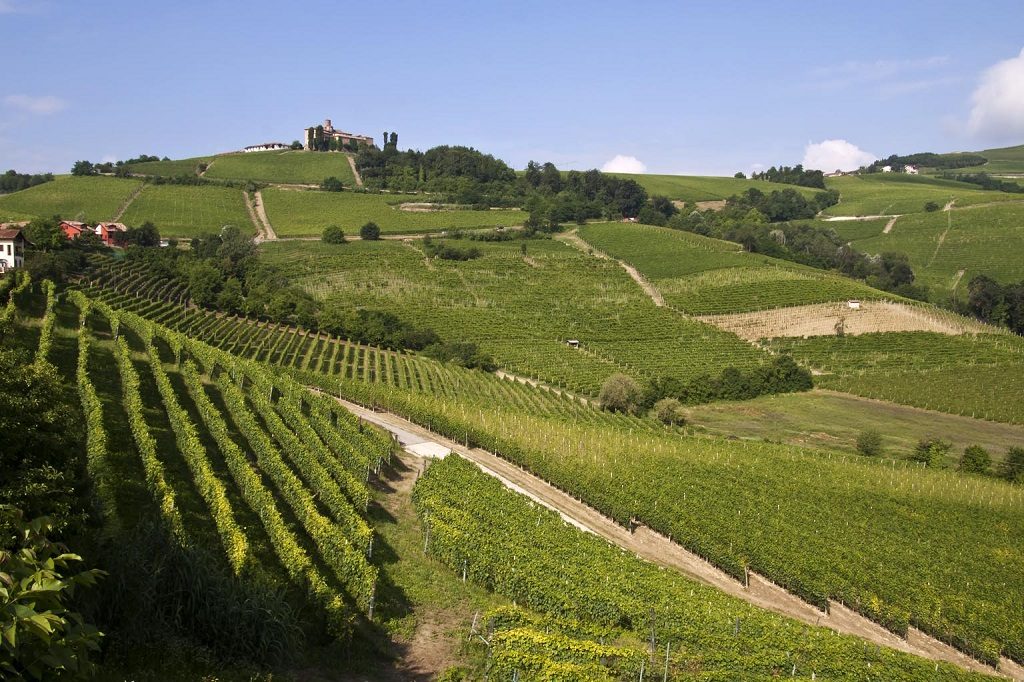 vigneti storici panorama-vitivinicolo-delle-langhe