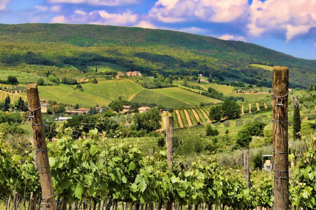 vigneti storici panorama-vitivinicolo-toscano