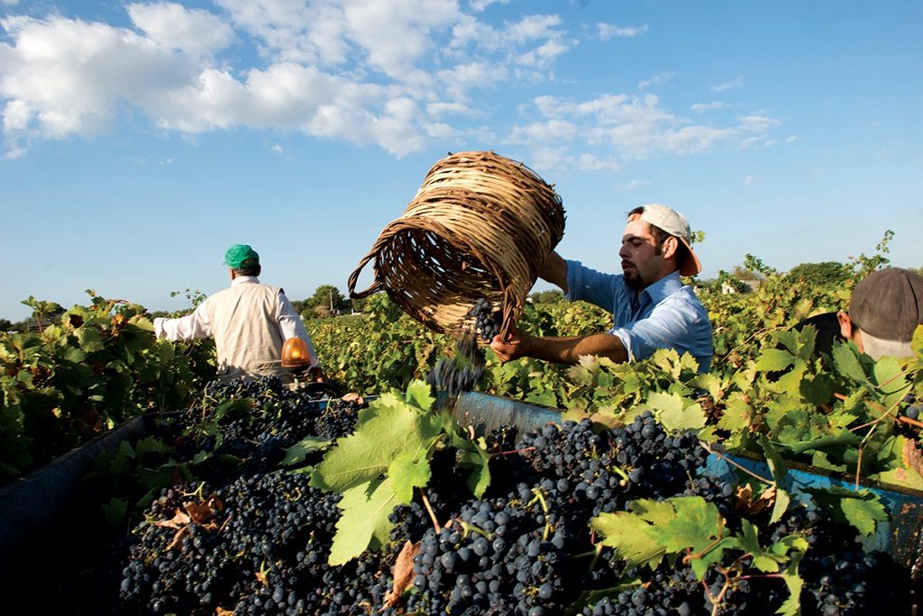 Top 100 vini cantina-san-marzano