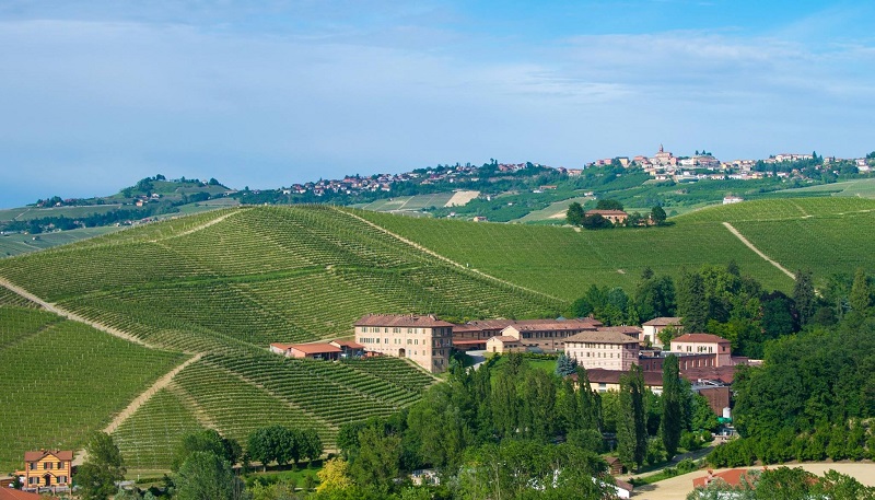 Wine Star Award tenuta fontanafredda