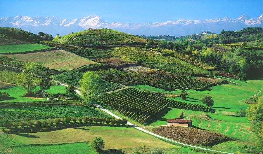 Cantine Aperte a San Martino monferrato