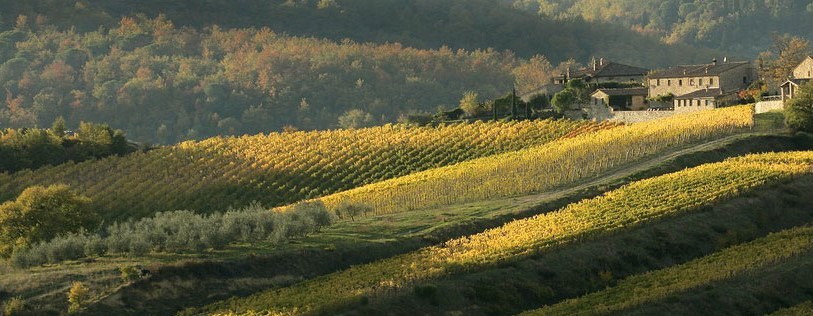 strade del vino chianti-classico