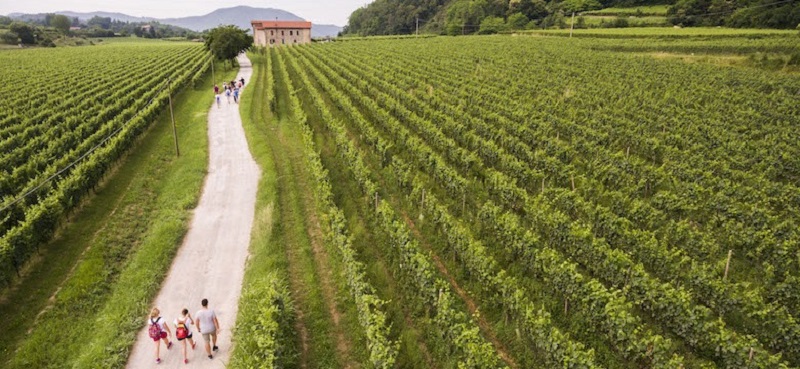 strade del vino -franciacorta