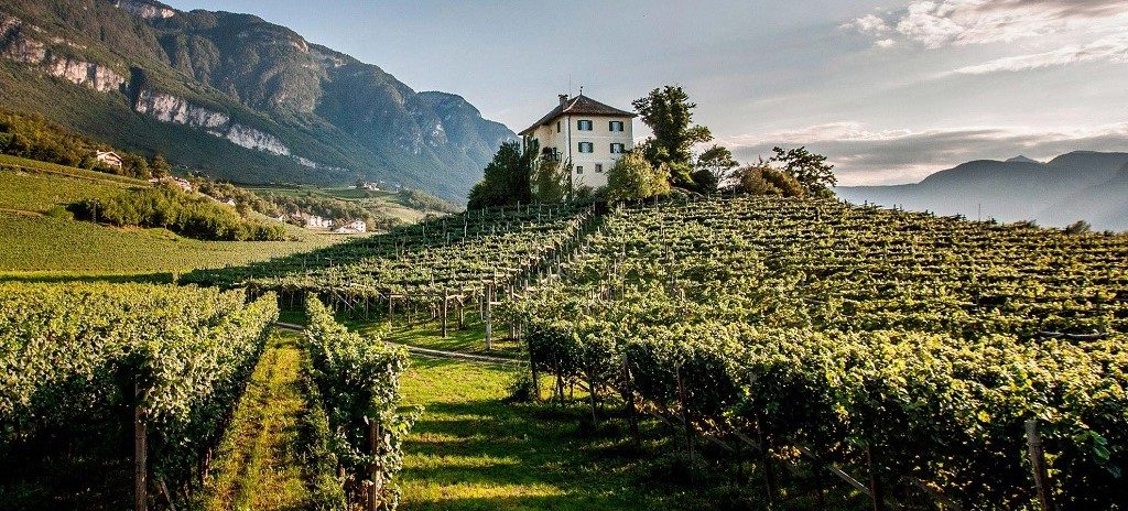 stra del vino alto-adige