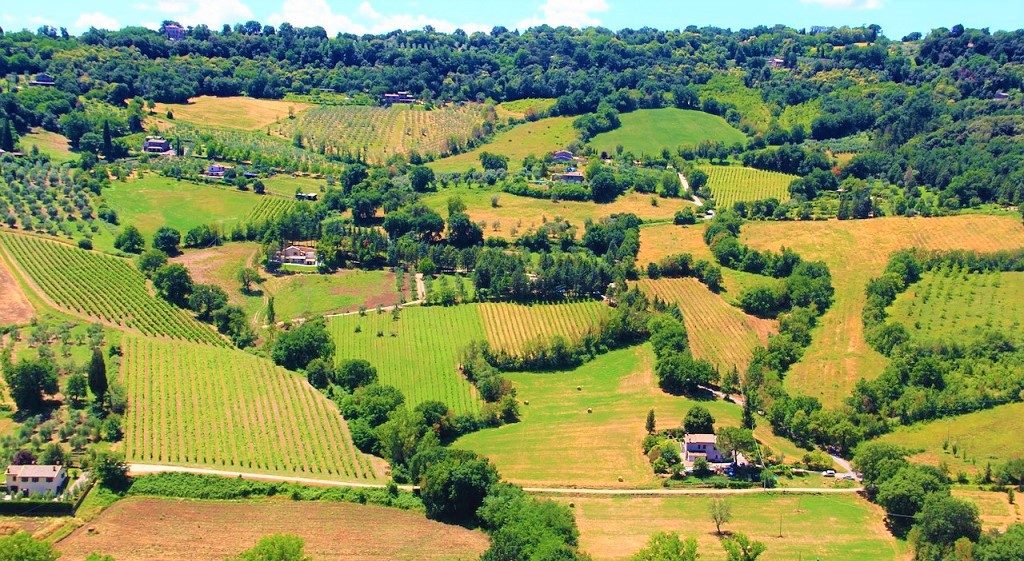 Cantine Aperte a San Martino Umbria