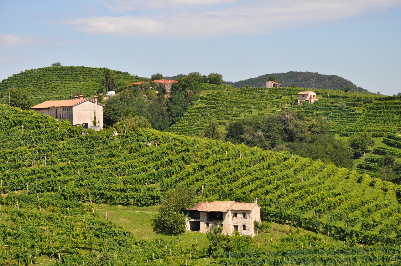 prosecco fuori dall'unesco