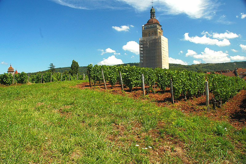 vendemmia 2018 jura-alsazia