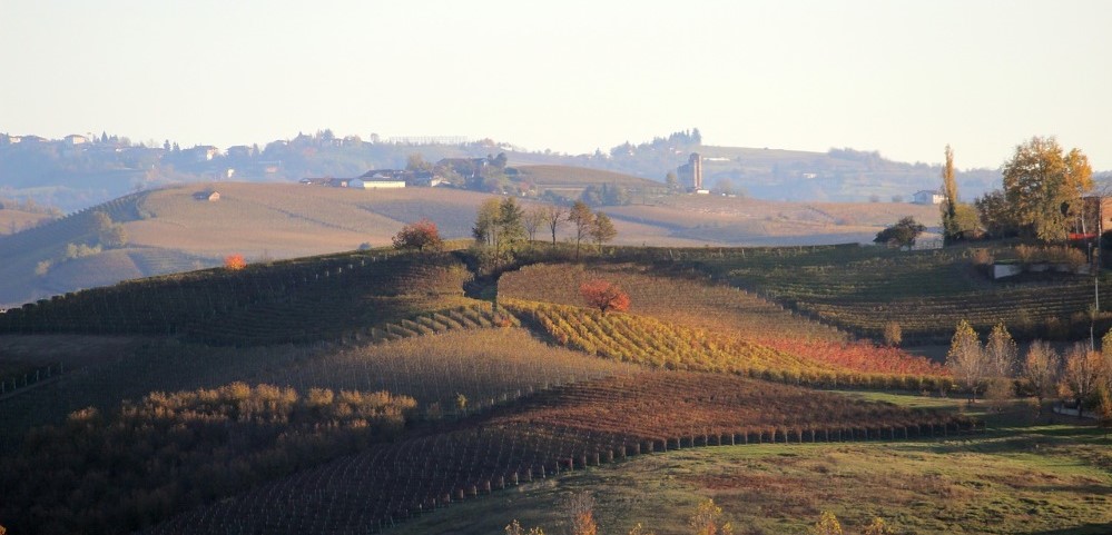 enoturismo langhe